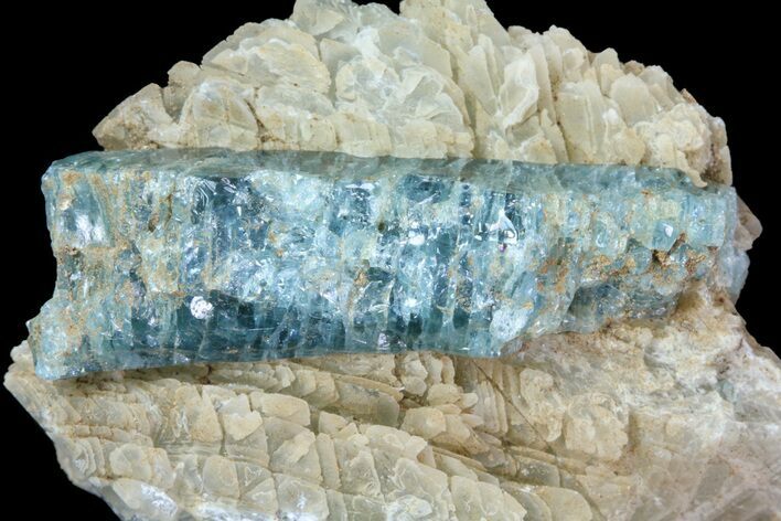 Fluorapatite Crystal In Calcite - New York #71626